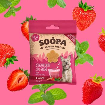 Epres Dog-Quiri Egészséges rágcsa 50 g (Soopa)