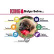 KONG Puppy Harang (S)