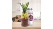 Lóhús smoothie allergiás kutyáknak 250 ml (SmoothieDog)