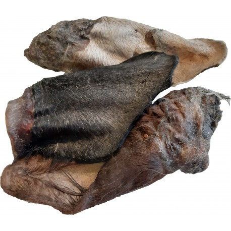 Szárított Szőrös Marhafül (Teomann)