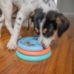 Nina Ottosson Puppy Lickin' Layers Dog Puzzle Game ( 2. szint )