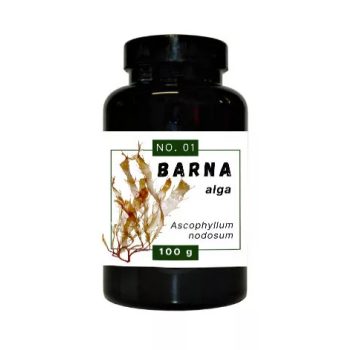 Barna alga 100 g (Quebeck)