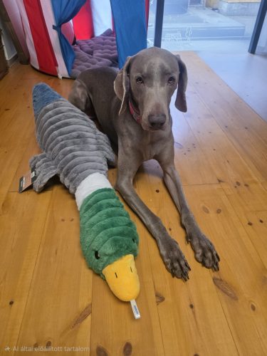 Plüss GigaKacsa - 91 cm ( Quapas! )