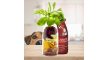 Marhahús smoothie menü 250 ml (SmoothieDog)