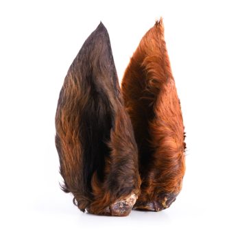 Szárított Szőrős Ló Fül ( darabos )