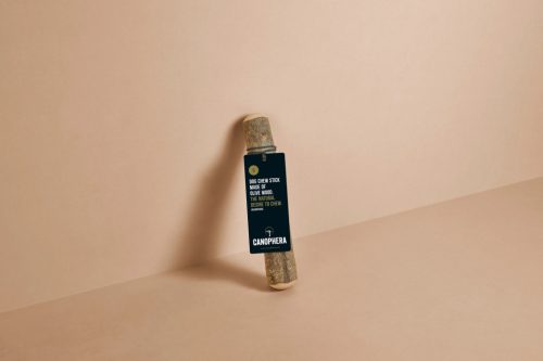 Olivafa rágóbot S /Canophera/