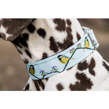 Spring Bird Menta Nyakörv - fém csattal