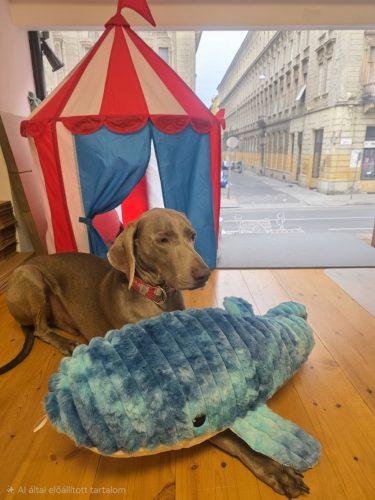 Plüss GigaBálna - 91 cm ( Quapas! )