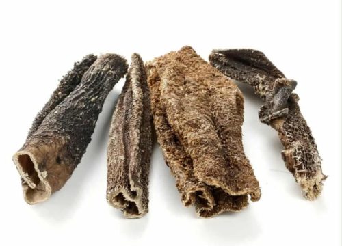 Marhapacal - rövid, Liget Barf