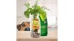 Bárányhús smoothie menü kutyáknak 250ml (SmoothieDog)