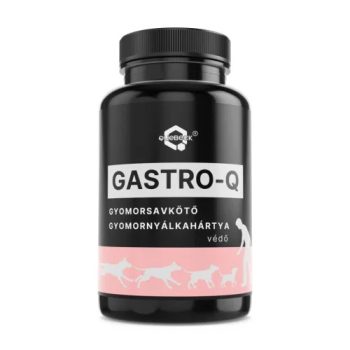   GASTRO-Q gyomorsavkötő, gyomornyálkahártya védő por - 50 g - Quebeck