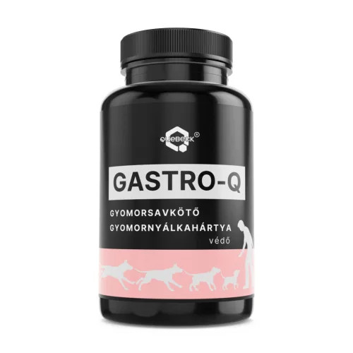 GASTRO-Q gyomorsavkötő, gyomornyálkahártya védő por - 50 g - Quebeck