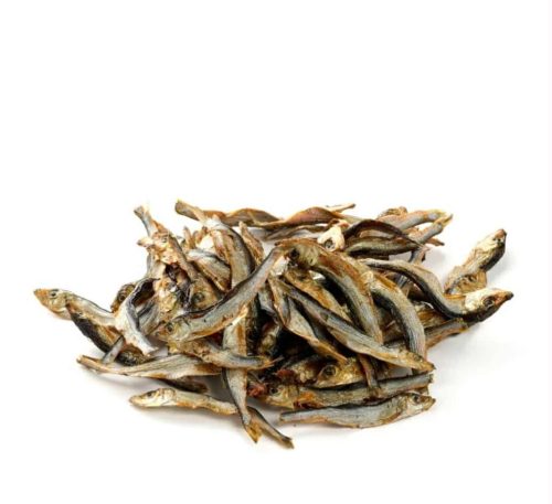 Balti-tengeri Sprotni, Liget Barf