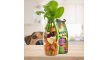 Zöldség Smoothie 250 ml (SmoothieDog)