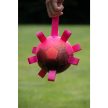 Dog Comets Hypernova – Narancs–Pink ( 15 cm )